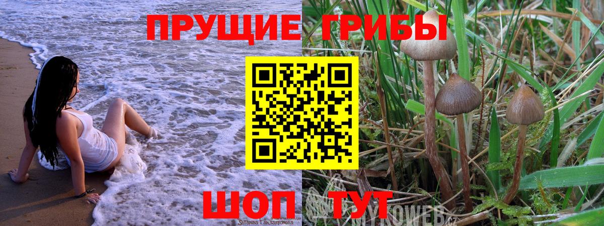 Галлюциногенные грибы прущие грибы Новошахтинск